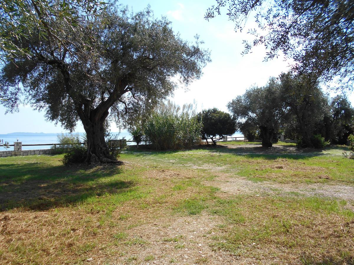 Lukia Barbati Mare Villa Exterior foto