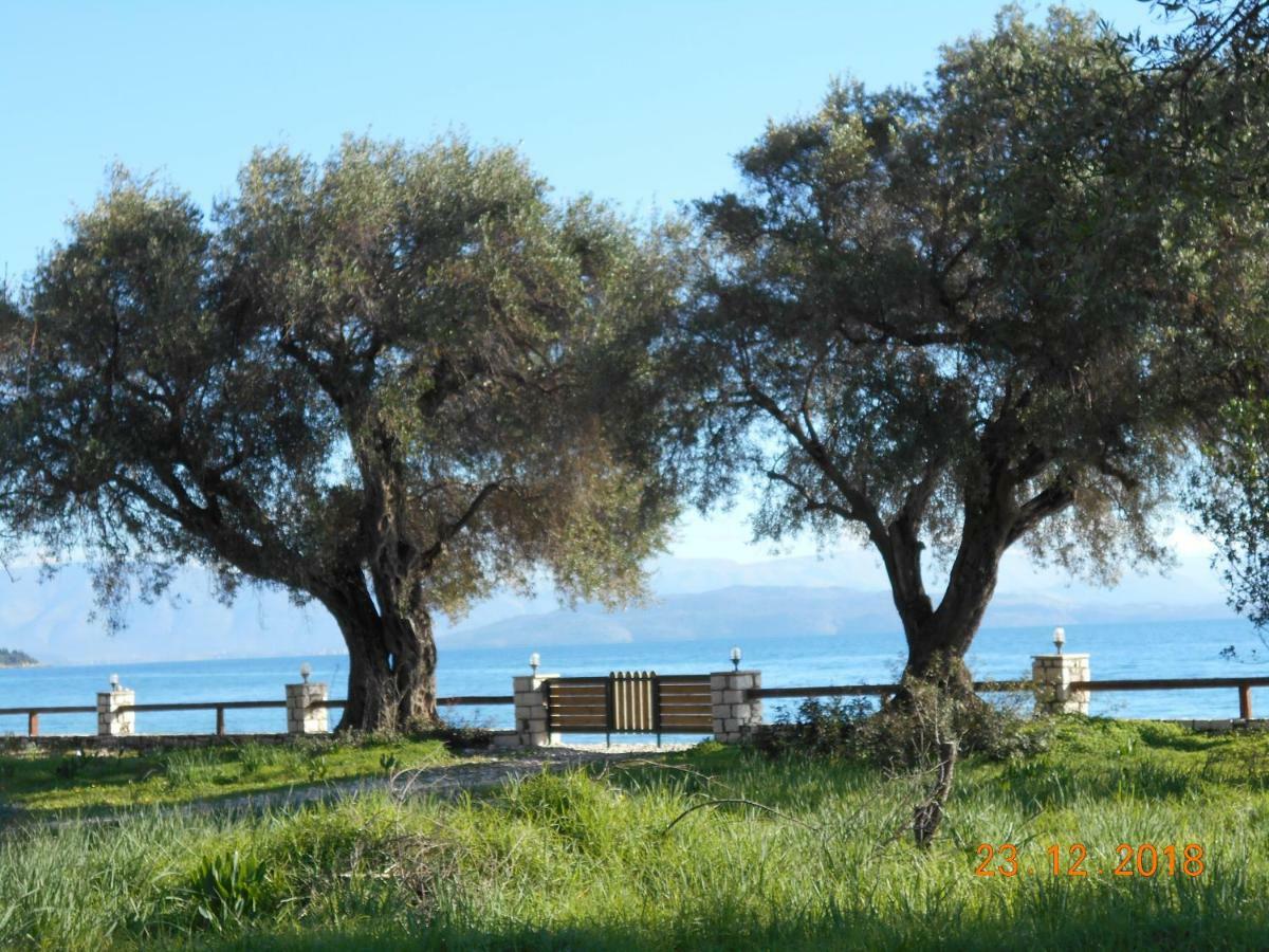 Lukia Barbati Mare Villa Exterior foto